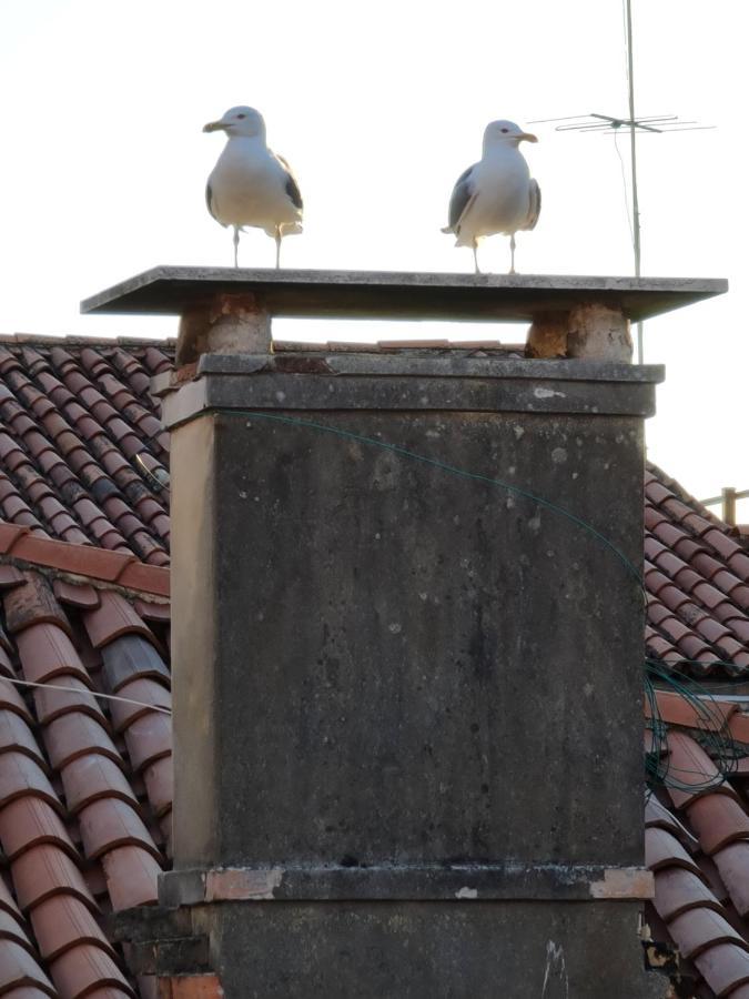Friendly Venice Suites Εξωτερικό φωτογραφία